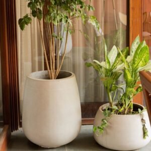 Planters