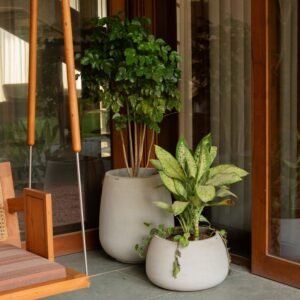 Planters